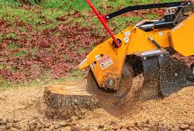 Best Fruit Tree Pruning  in Stonewood, WV